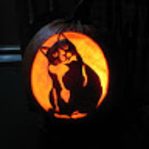 Meet your Posher, Catrina